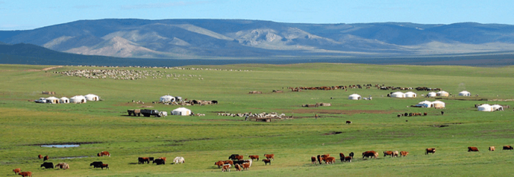Малын хаягдлыг баялаг болгосон монгол ухаан