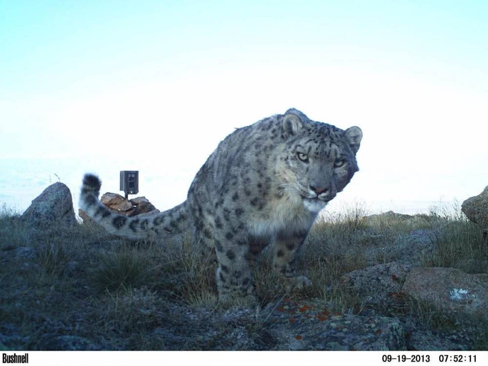 Хамтдаа хамгаалвал илүү үр дүнтэй