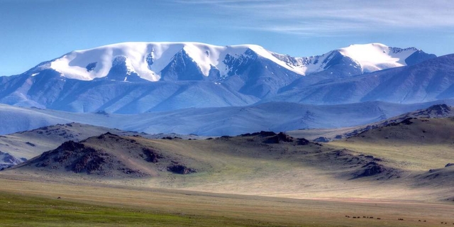 Дэлхий дулаарч, амьдрал хумигдаж байна