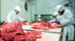 Хүнс үйлдвэрлэлийн гинжин хэлхээ буюу “лангуу” дээрх махыг үйлдвэрт төхөөрч хэвшүүлье